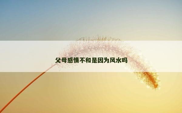 父母感情不和是因為風(fēng)水嗎 父母感情不和是因為風(fēng)水嗎