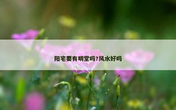 陽宅要有明堂嗎?風(fēng)水好嗎