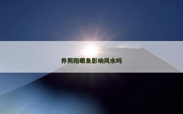 養(yǎng)陰陽眼魚影響風(fēng)水嗎