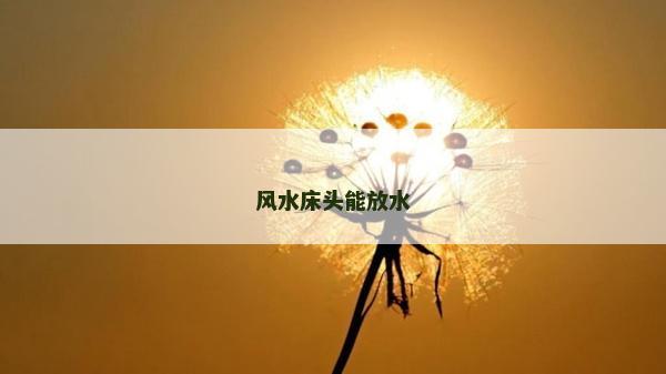 風(fēng)水床頭能放水