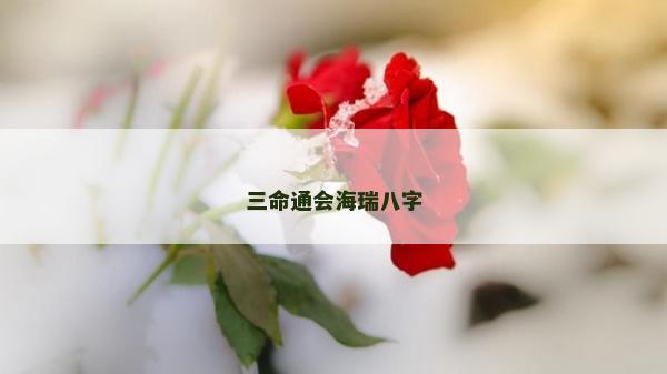 三命通會(huì)海瑞八字