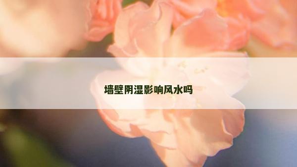 墻壁陰濕影響風(fēng)水嗎