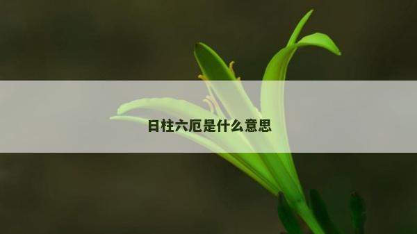 日柱六厄是什么意思 日柱六厄是什么意思