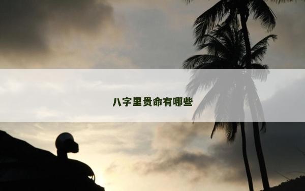 八字里貴命有哪些