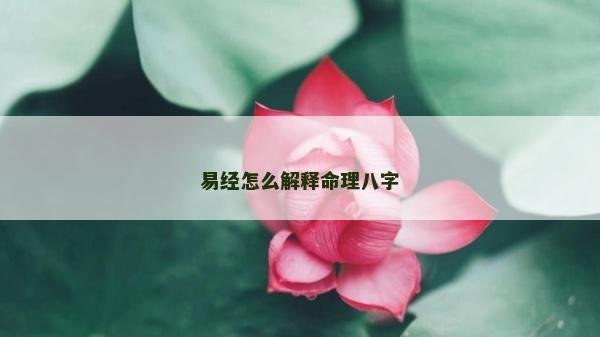 易經(jīng)怎么解釋命理八字 易經(jīng)怎么解釋命理八字