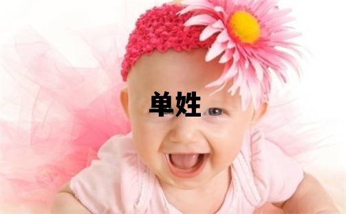 單姓取名有智慧才氣的男寶寶名字