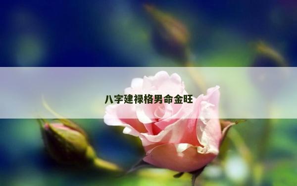八字建祿格男命金旺