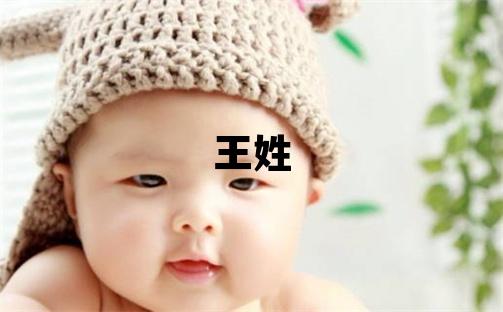 王姓優美大方的男孩名字,取什么名字好