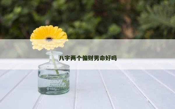 八字兩個偏財男命好嗎 八字兩個偏財男命好嗎