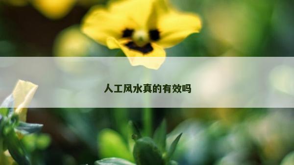人工風(fēng)水真的有效嗎