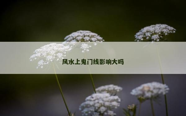 風水上鬼門線影響大嗎 風水上鬼門線影響大嗎