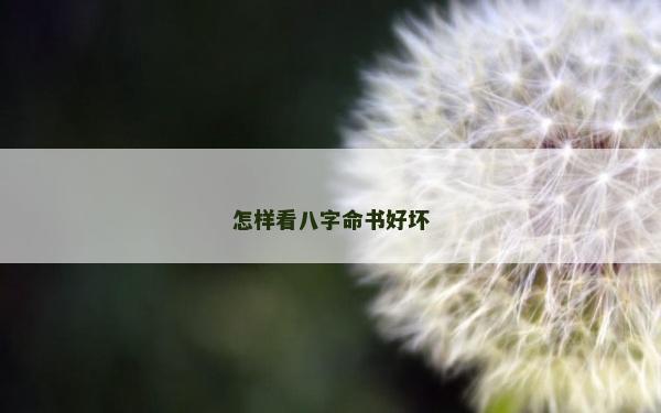 怎樣看八字命書好壞