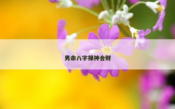 男命八字祿神合財