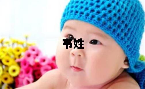 韋姓冷門獨特的男寶寶名字