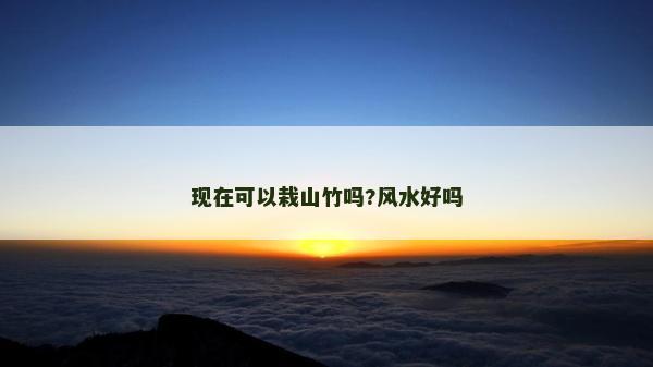 現在可以栽山竹嗎?風水好嗎