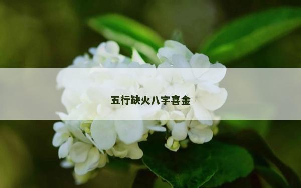 五行缺火八字喜金