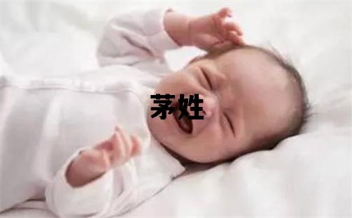 茅姓取名有氣質的女寶寶名字