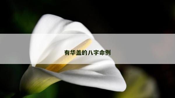 有華蓋的八字命例