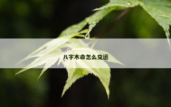 八字木命怎么交運(yùn)