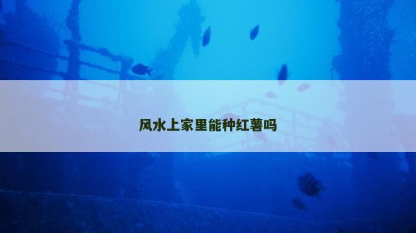 風(fēng)水上家里能種紅薯嗎