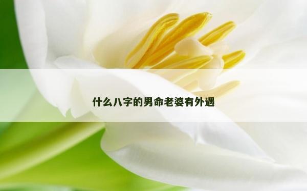 什么八字的男命老婆有外遇
