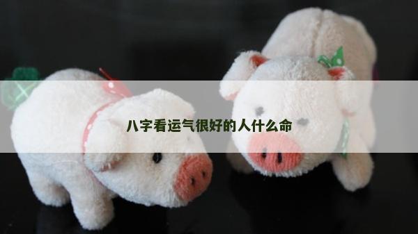 八字看運(yùn)氣很好的人什么命