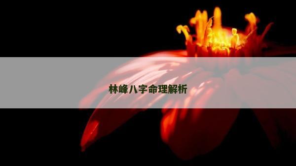 林峰八字命理解析