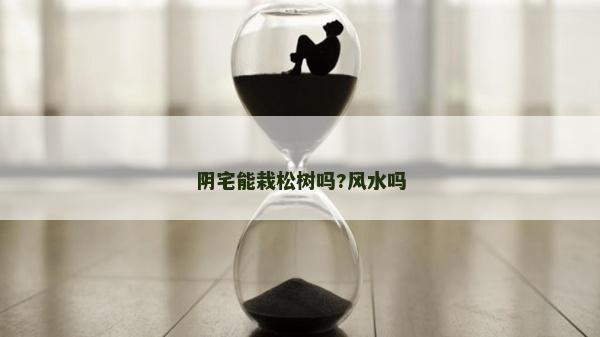 陰宅能栽松樹嗎?風(fēng)水嗎