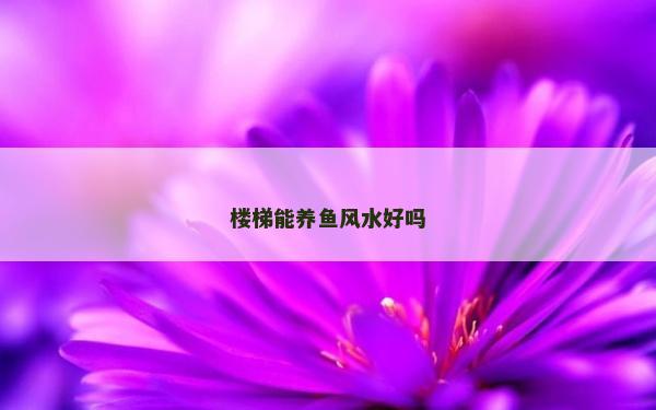 樓梯能養(yǎng)魚風(fēng)水好嗎