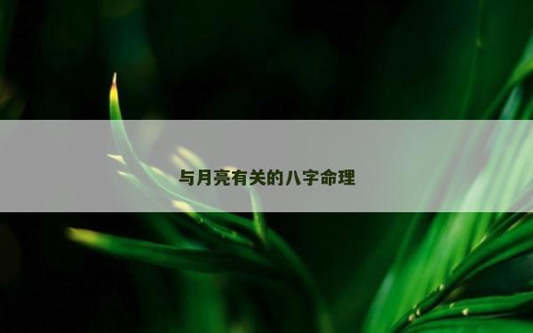 與月亮有關(guān)的八字命理