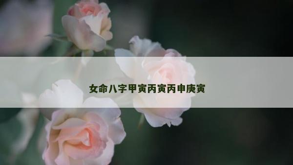 女命八字甲寅丙寅丙申庚寅 女命八字甲寅丙寅丙申庚寅