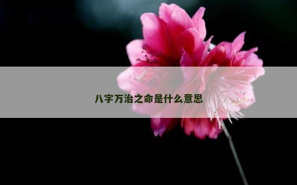 八字萬治之命是什么意思 八字萬治之命是什么意思