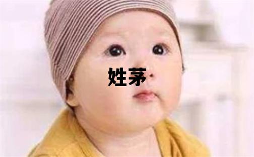 姓茅叫什么名字好 姓茅的女孩獨特優美的名字