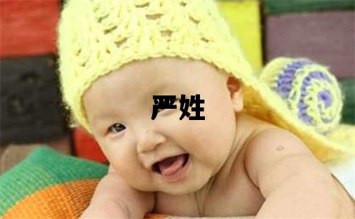 嚴姓優美大方的男孩名字